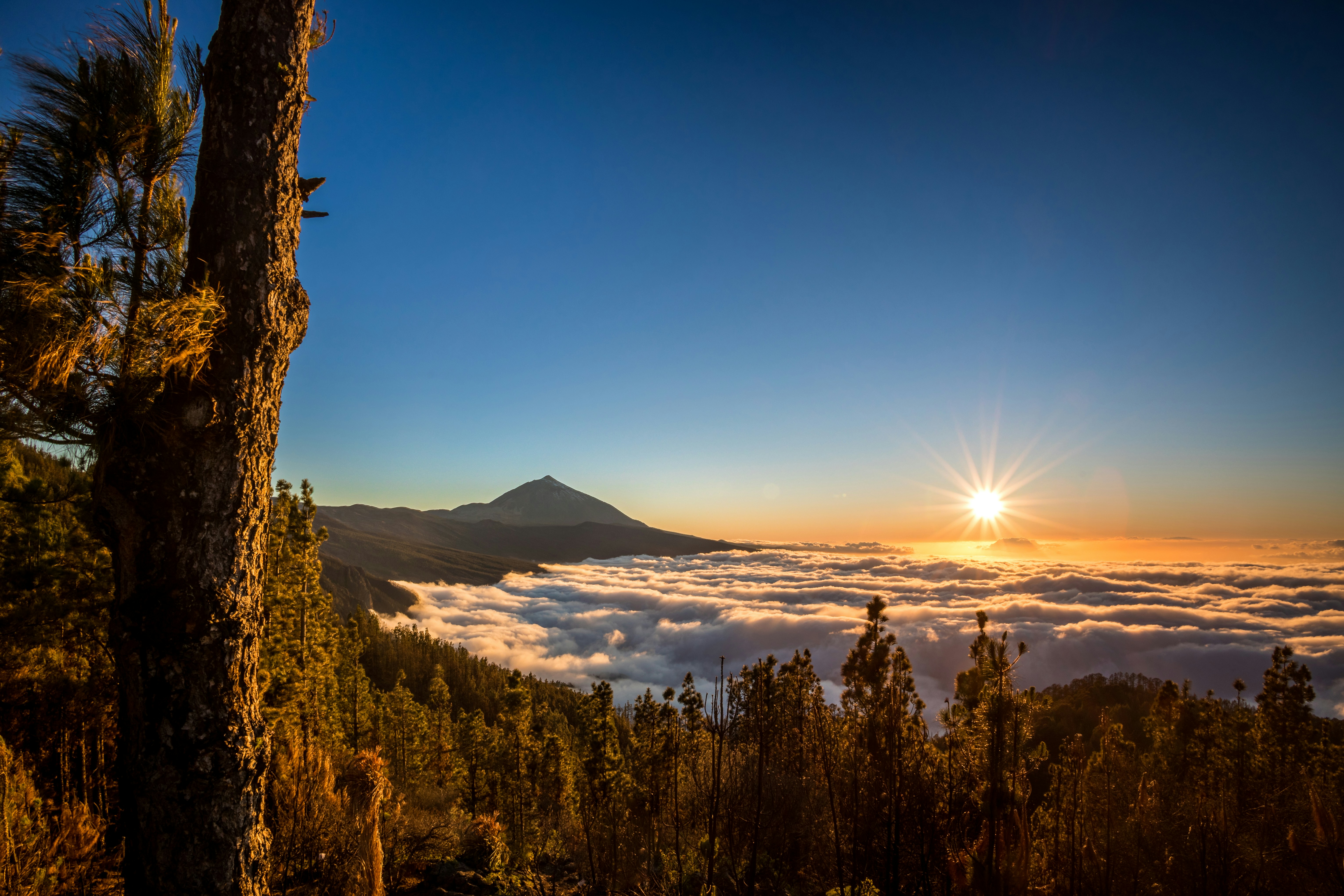 Tenerife